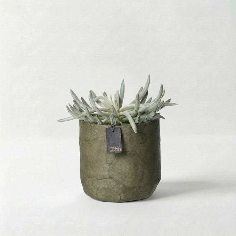 OOhh Vase aus 100 Prozent recyceltem Papier mit runder, voluminöser Form, handgefertigt – Lorenz Laurent Home